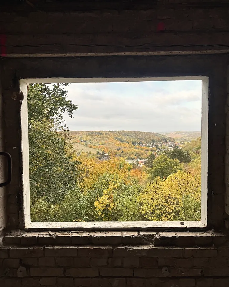 Blick aus einem Fenster des Waldhauses auf Freyburg und die Weinberge im Herbst