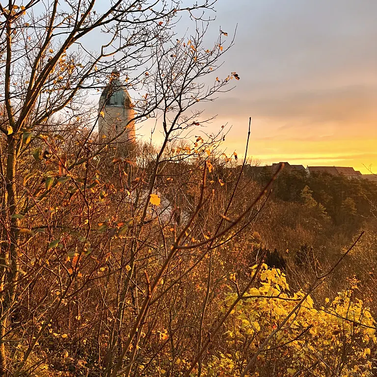 Herbstlaub im Abendrot, dahinter der Dicke Wilhelm und Schloss Neuenburg