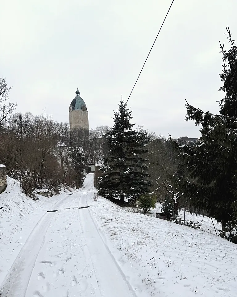 Verschneiter Weg zwischen Fichten hinauf zum Dicken Wilhelm, Februar 2026