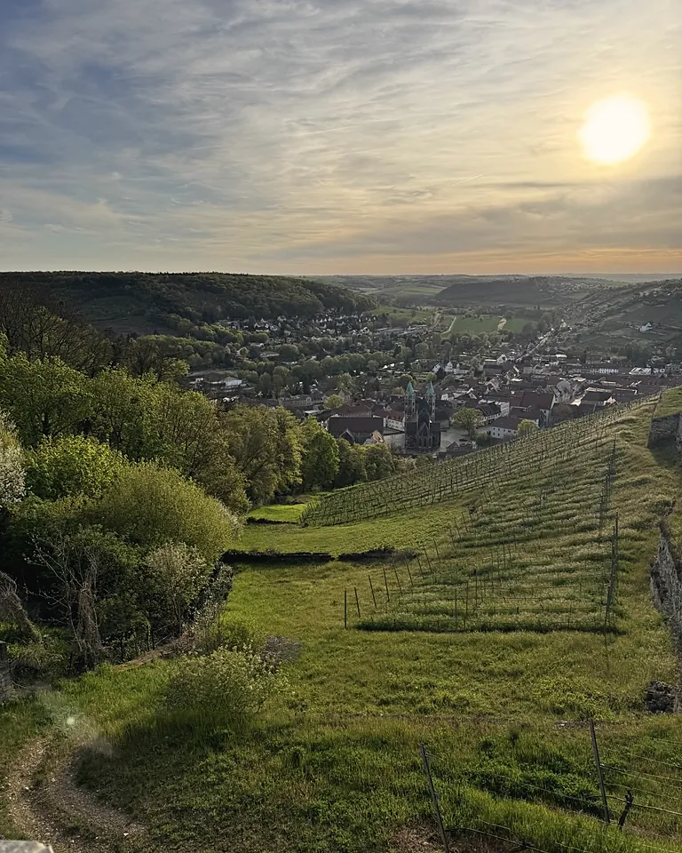 Weinbergterrassen im Abendlicht, unten im Tal Freyburg