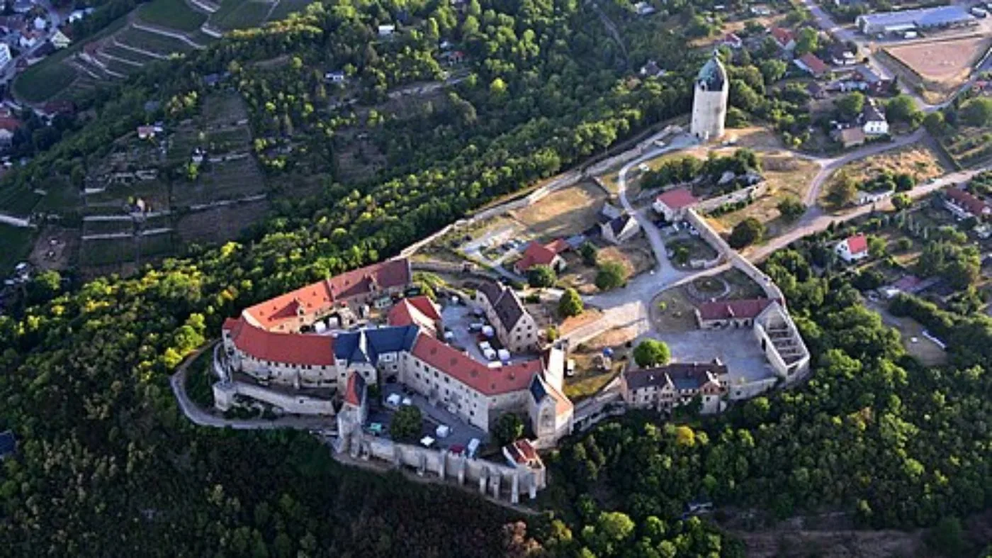 Schloss Neuenburg und der Dicke Wilhelm von oben, umgeben von Wald und Weinbergen