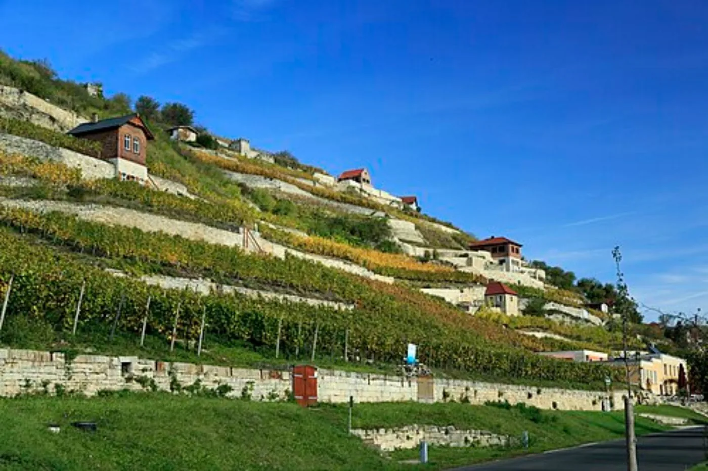Steile Weinbergterrassen mit kleinen Weinberghäuschen am Schweigenberg bei Freyburg