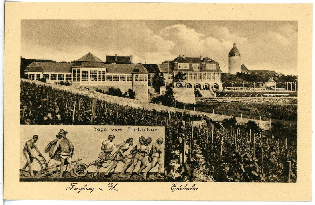 Postkarte von 1920: der Edelacker mit langer Glashalle über den Weinbergen, dahinter der Dicke Wilhelm
