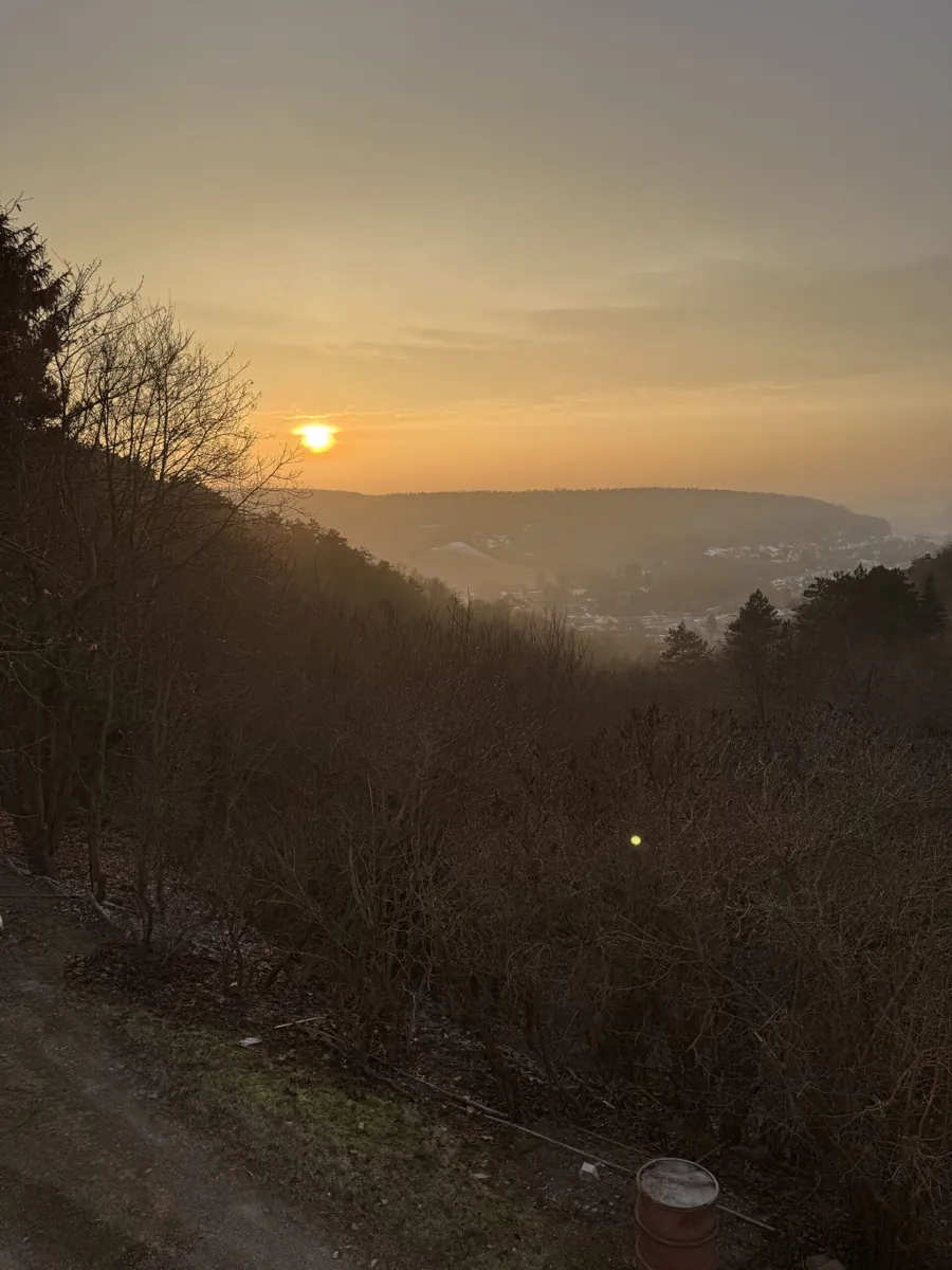 Sonnenuntergang über den bewaldeten Hängen und dem Unstruttal