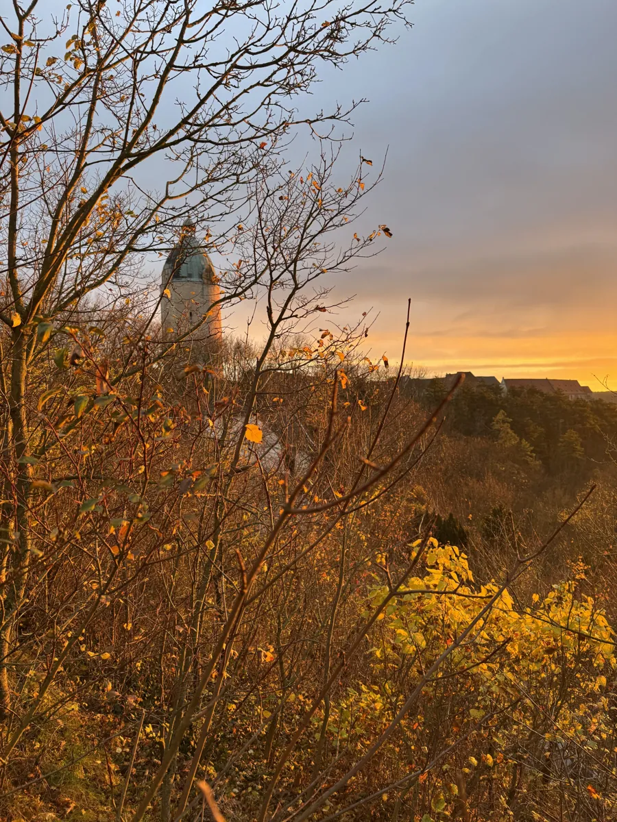 Blick durch herbstliche Zweige auf den Dicken Wilhelm im Abendlicht