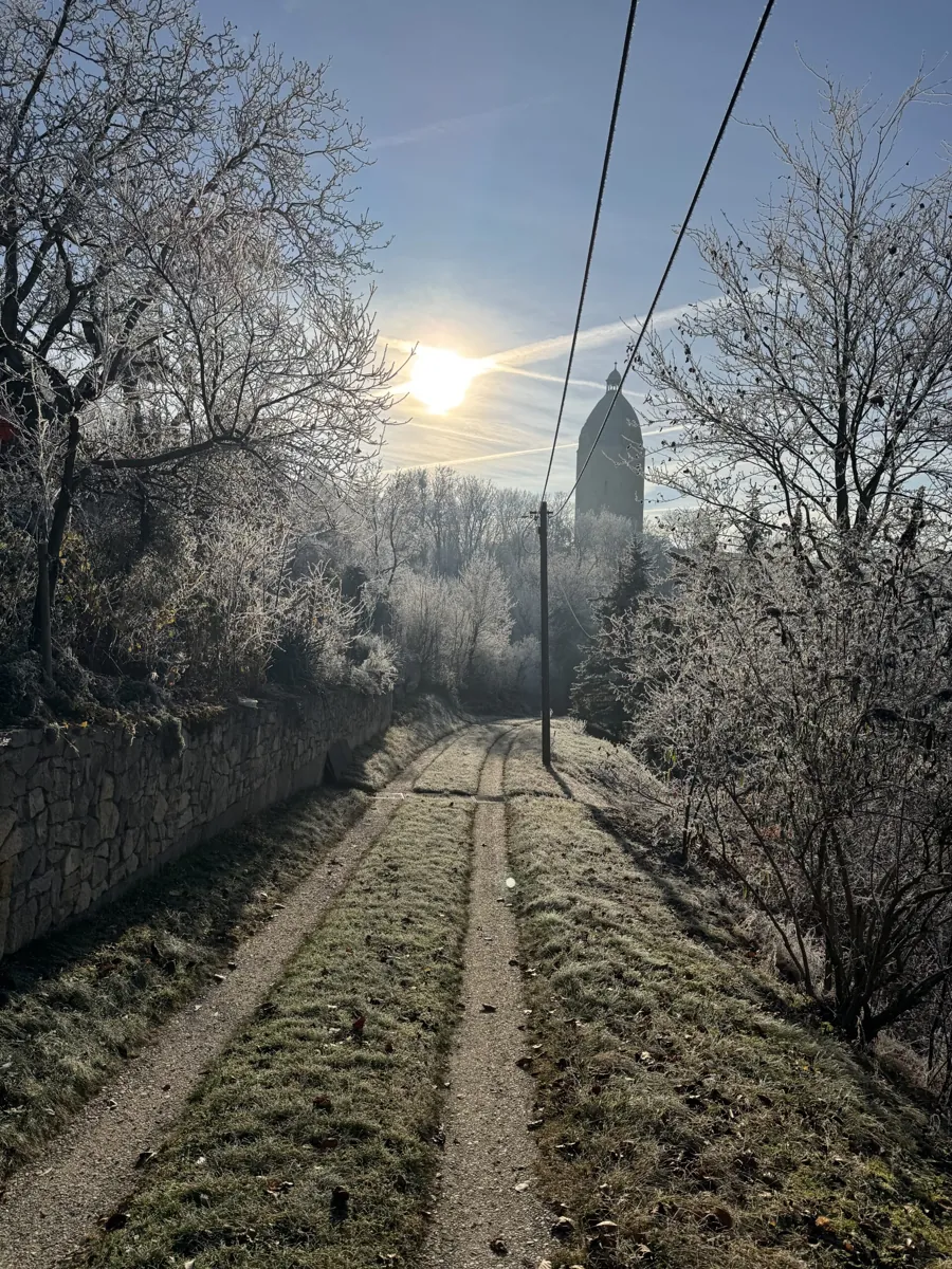 Bereifter Weg in Freyburg mit Blick auf den Dicken Wilhelm